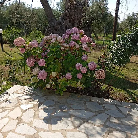 Cristi Apartament Skala Rachoni (Thasos)