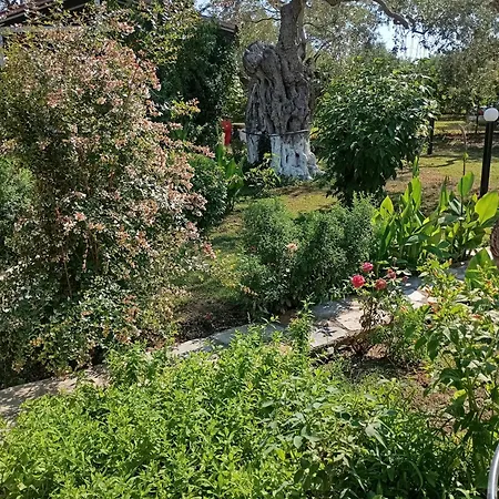 Cristi * Скала-Рахониу