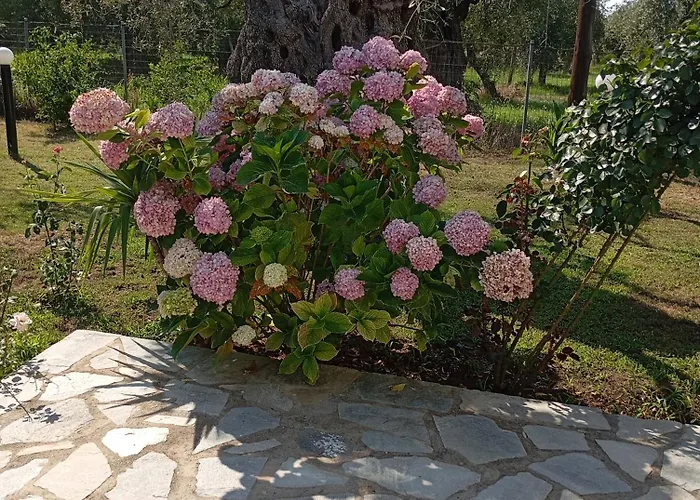 Cristi Lejlighed Skala Rachoni (Thasos)